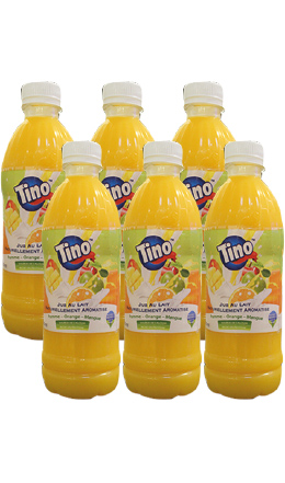 Pack Jus lacté multifruits Tino (6×500 ml)
