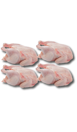 Lot de 4 poulets frais