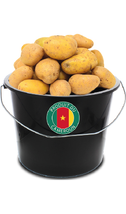 Pommes de terre (5 kg)