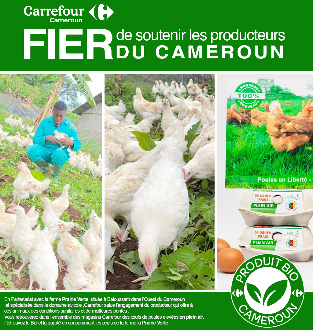 Carrefour est fier de promouvoir un mode d’élevage avicole avant-gardiste
